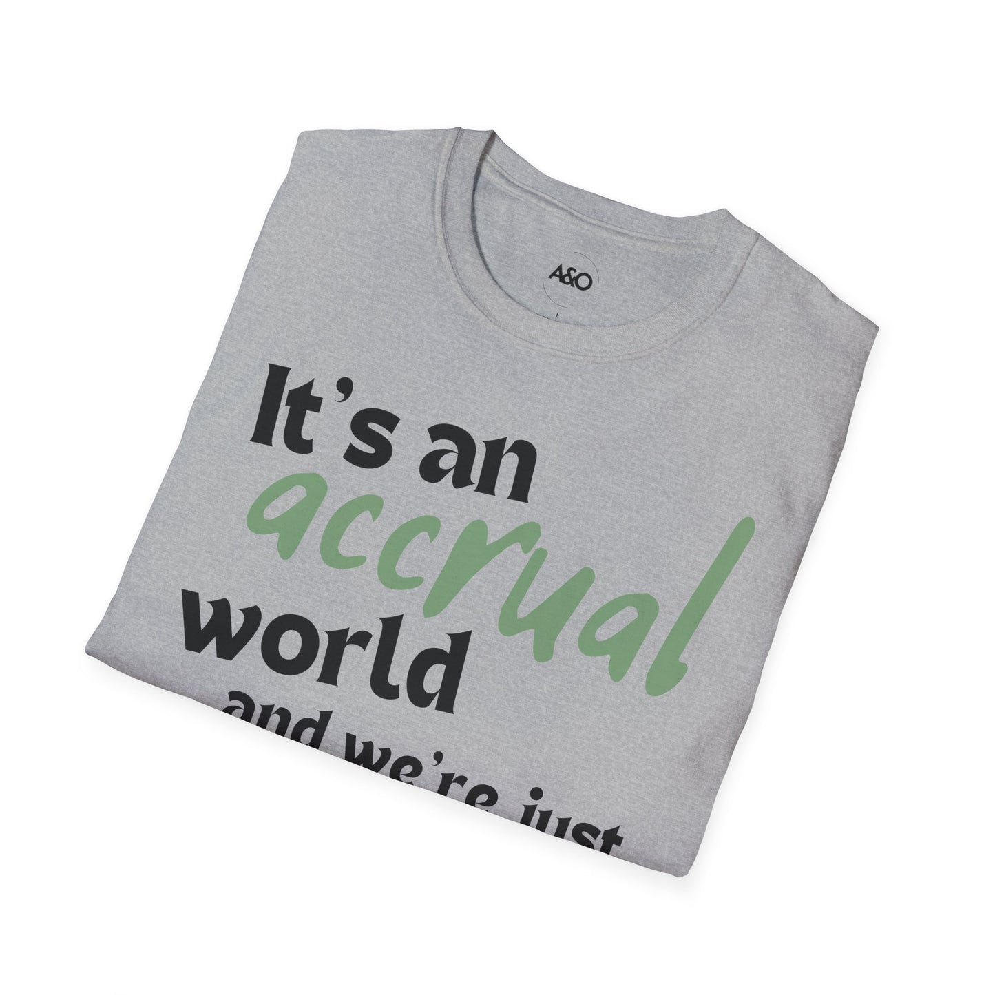 It's an Accrual World and We're Just Reconciling It... Tee for Women